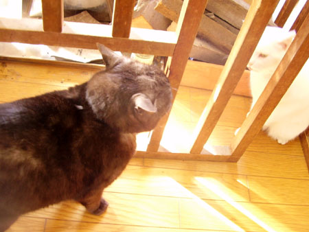 c0206596_161527.jpg
