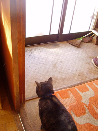 c0206596_1672840.jpg