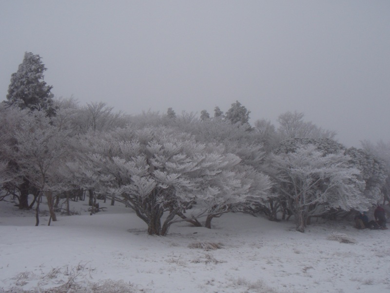 b0039898_17564539.jpg