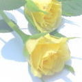c0074000_22334997.jpg
