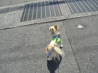 c0132205_22363636.jpg