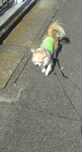 c0132205_2238268.jpg