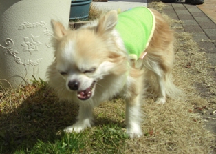 c0132205_22425340.jpg