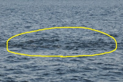 f0048405_16501291.jpg