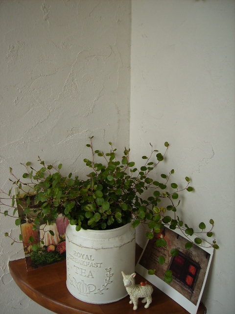 f0208812_1532621.jpg