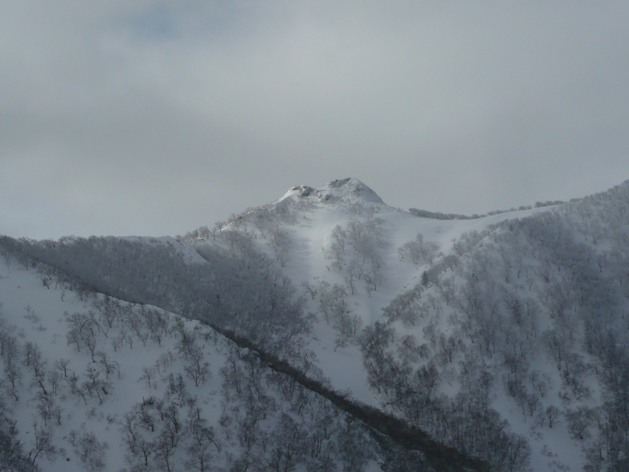 d0168417_16171349.jpg