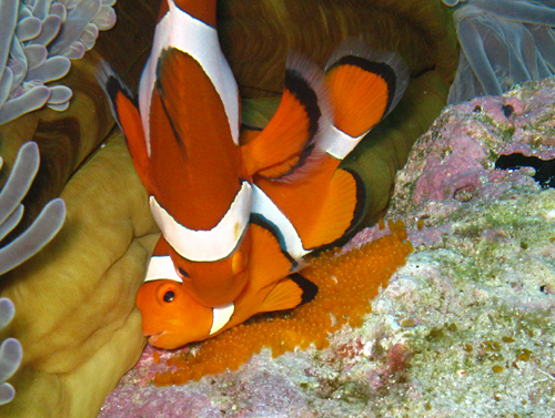 f0041021_82946100.jpg