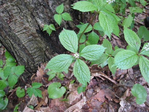 e0242223_0122026.jpg