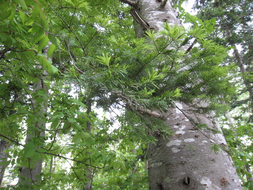 e0242223_0155783.jpg