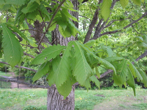 e0242223_02173.jpg