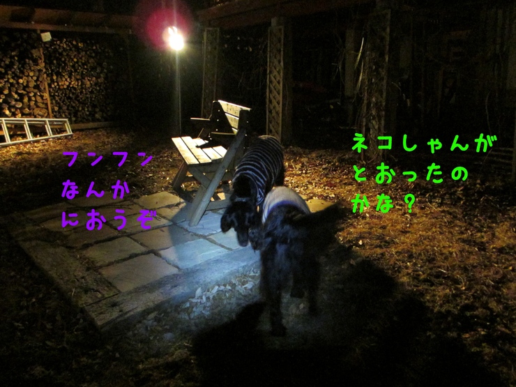 c0237824_0284191.jpg