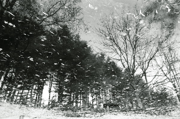 f0182924_22203449.jpg