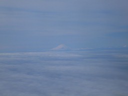 d0134028_21591384.jpg