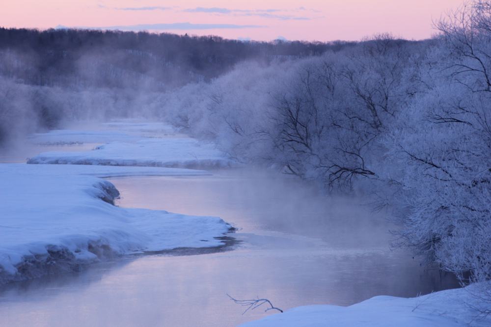 f0227228_185542.jpg