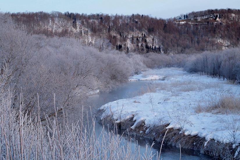 f0227228_19212552.jpg