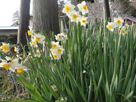 c0197829_14422788.gif