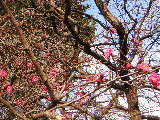 c0197829_14424616.gif