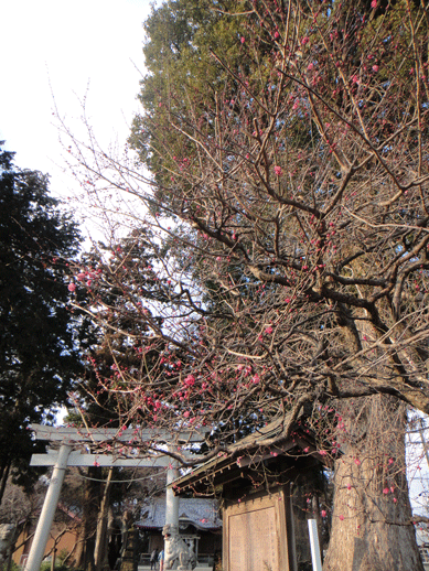 c0197829_14431622.gif