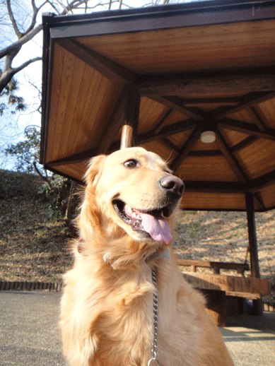 c0197829_14543191.gif