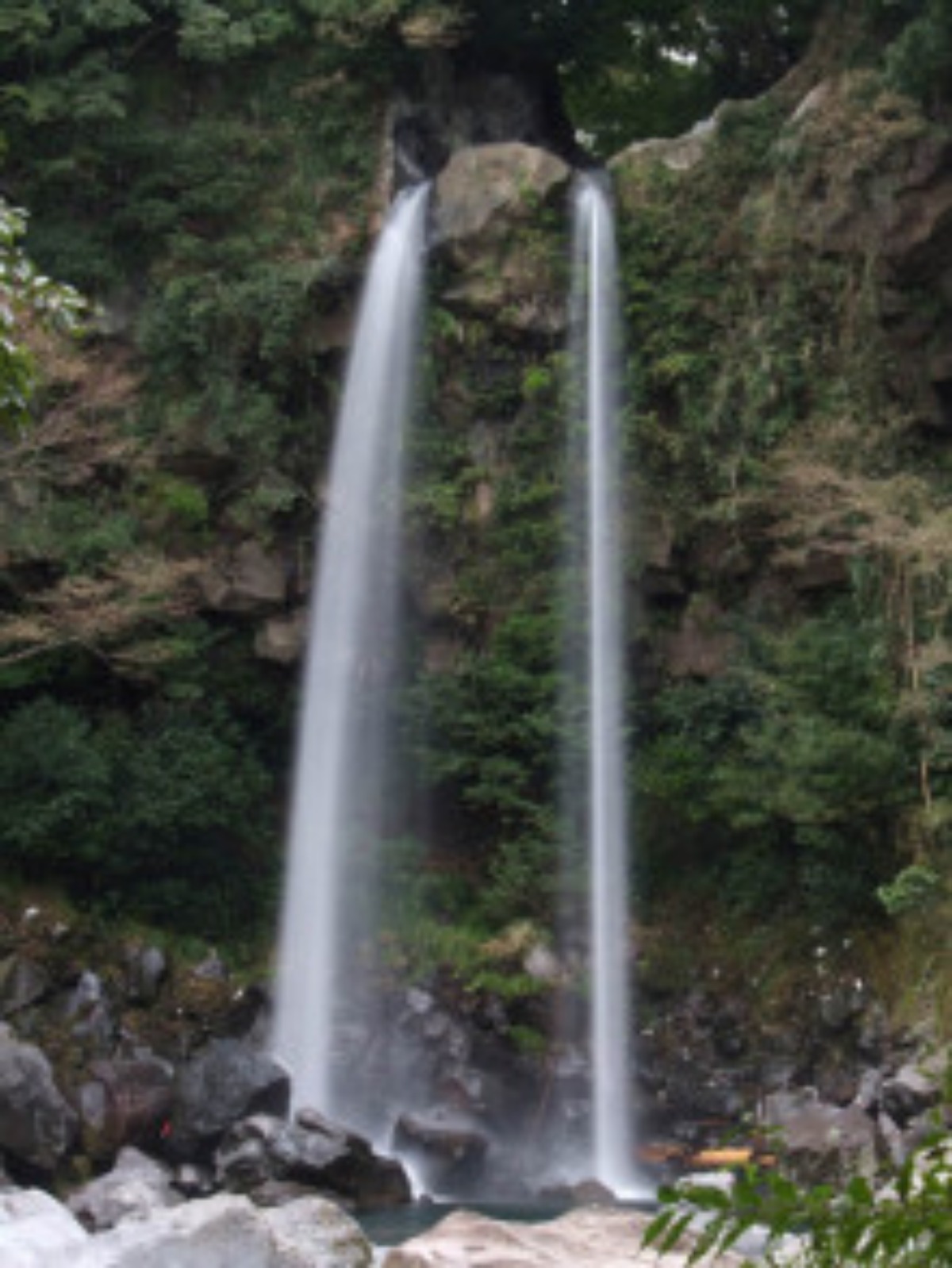 e0033229_21594685.jpg