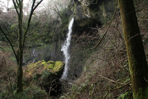 e0033229_23402994.jpg