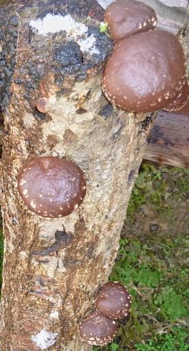 b0246036_21375241.jpg