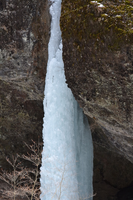 e0228938_180474.jpg