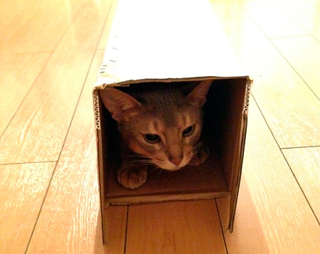 f0209740_16333333.jpg