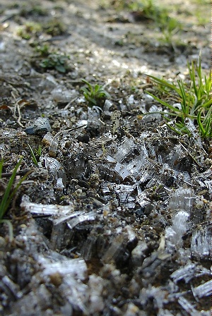 a0243143_20142672.jpg