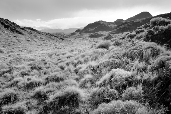 f0161647_23221493.jpg