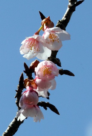 f0206452_17252772.jpg