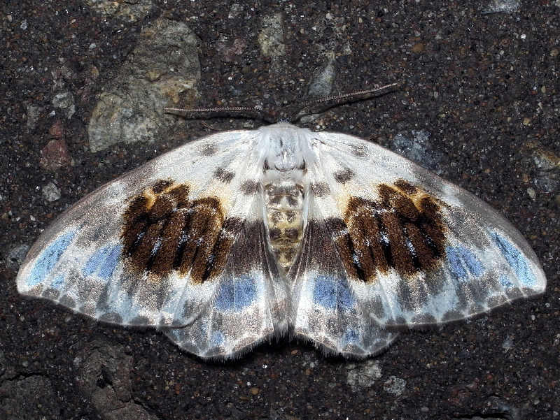b0130166_22163695.jpg