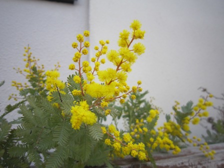 c0202870_824407.jpg