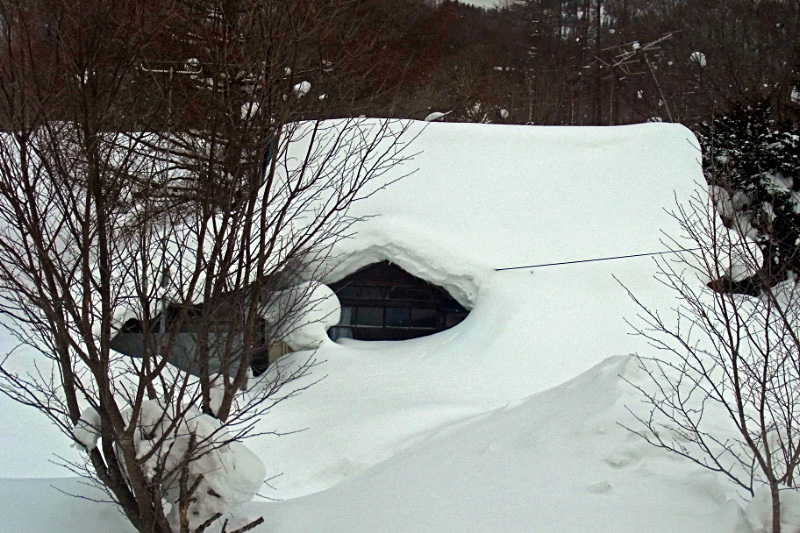 e0100772_2282496.jpg