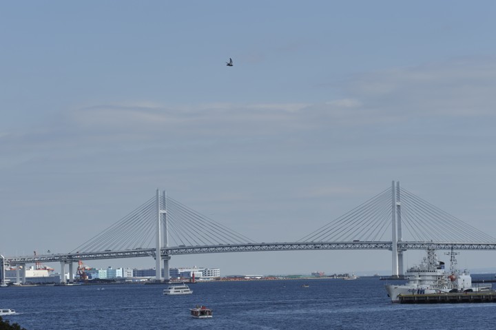 b0102780_0421414.jpg