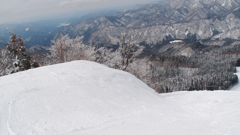 e0024081_22134350.jpg