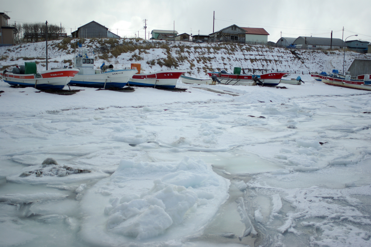 e0051186_224047.jpg
