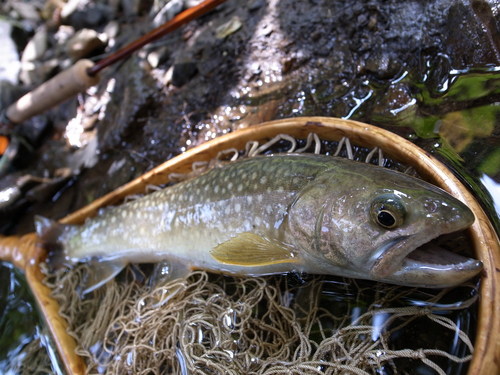 b0178889_14233726.jpg
