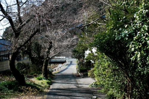 c0129498_14351018.jpg