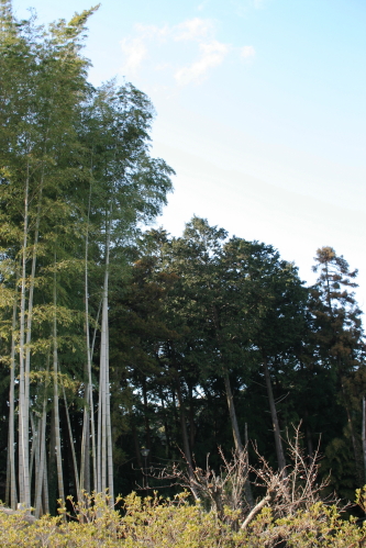 c0129498_14394996.jpg