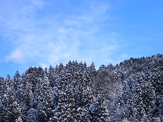 c0187298_166276.jpg
