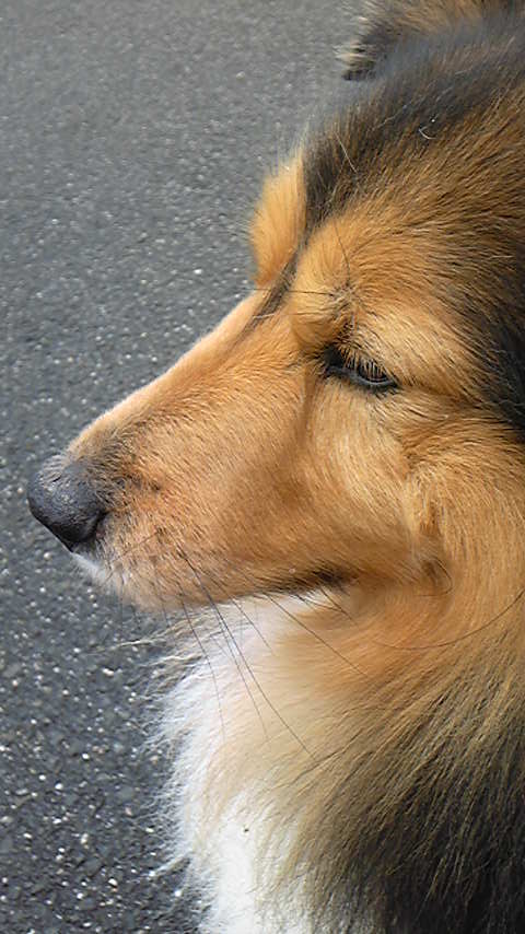 c0220700_13115343.jpg