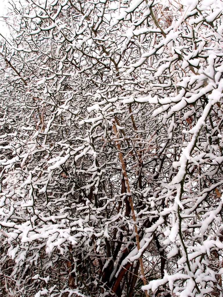 f0224100_22425872.jpg