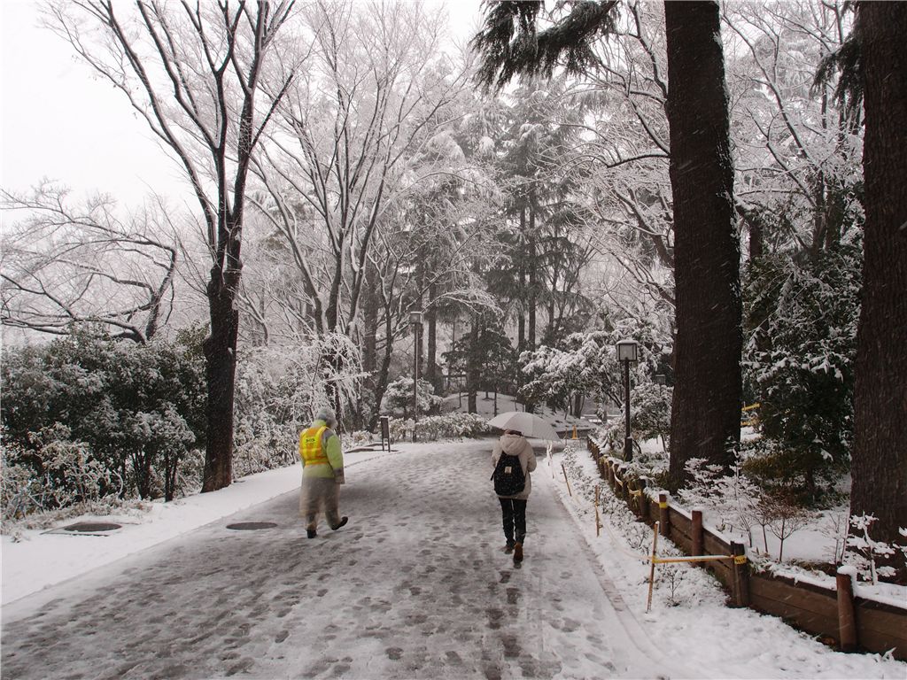 f0224100_2246141.jpg
