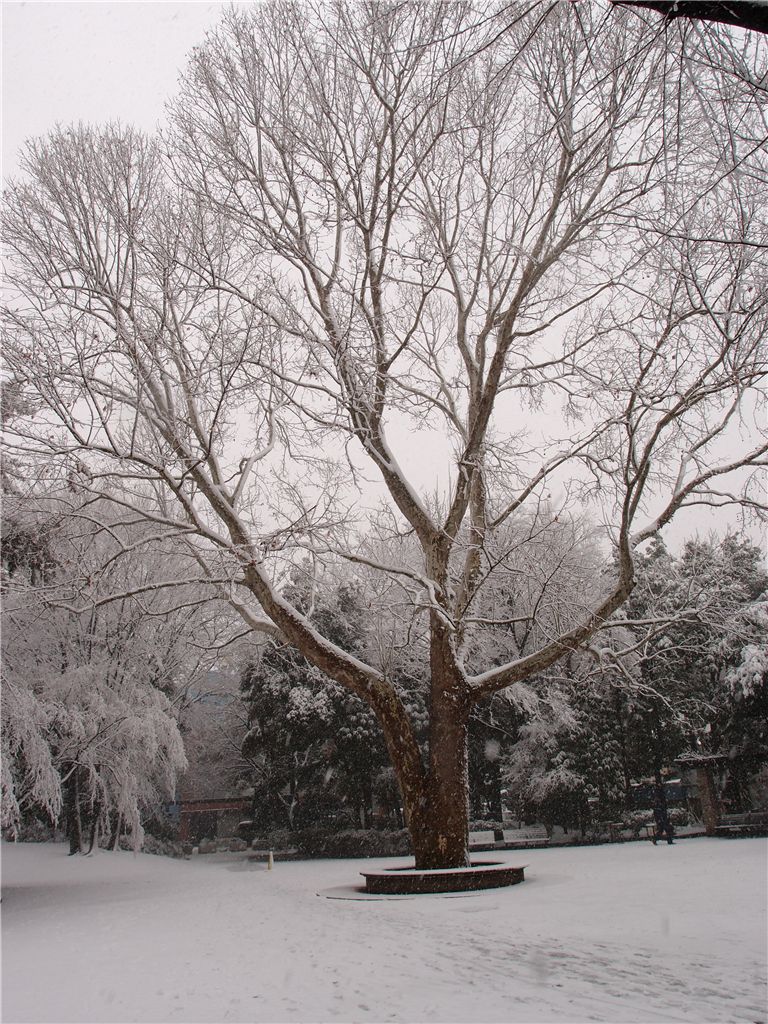 f0224100_22473923.jpg