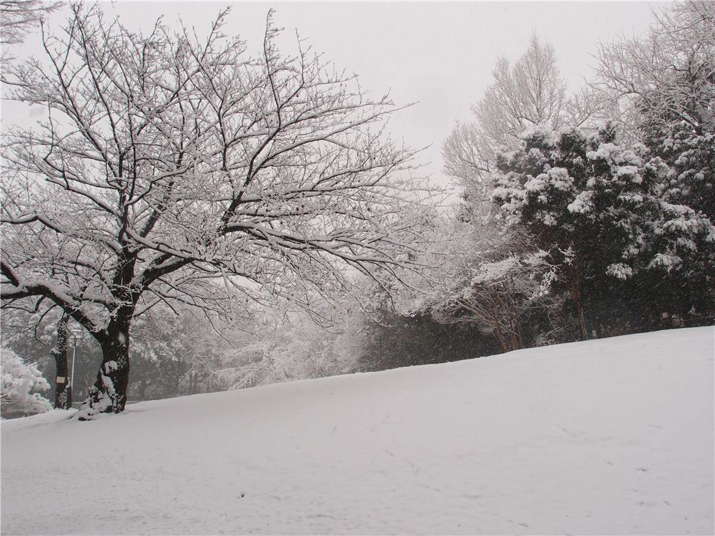 f0224100_22515067.jpg
