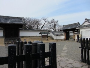 e0033301_1911799.jpg