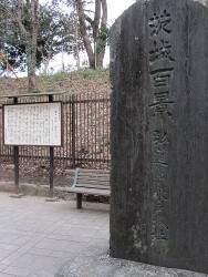 e0033301_19391952.jpg