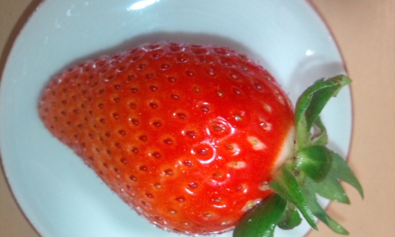 c0190103_0465977.jpg