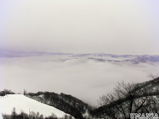 b0061004_1335246.jpg